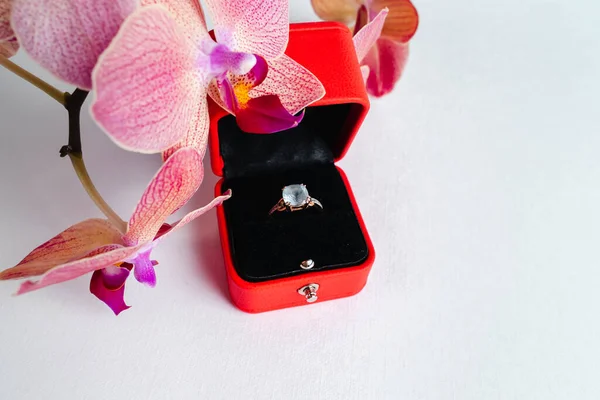 Nişan yüzüğü kırmızı hediye kutusunda, beyaz arka planda. Evlen benimle. Lüks aksesuar. Mesaj için yer. Tropik orkide çiçekleri.
