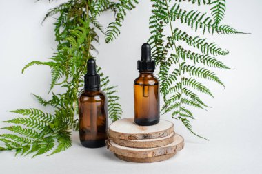 Broşürlü aromaterapi için bir şişe spa yağı. Beyaz arka planda deri sağlığı için bir şişe öz ve surum. Siyah camlı doğal bitkisel cilt bakım ürünleri. Model reklamcılık. 