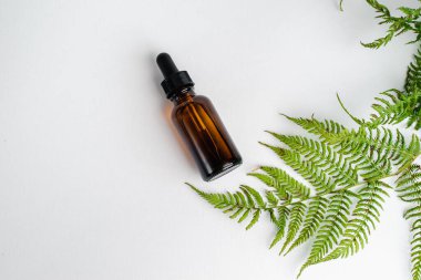 Broşürlü aromaterapi için bir şişe spa yağı. Beyaz arka planda deri sağlığı için bir şişe öz ve surum. Siyah camlı doğal bitkisel cilt bakım ürünleri. Model reklamcılık. 