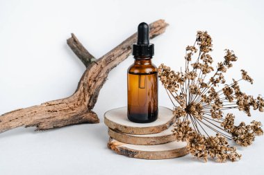 Koyu cam şişeler ağaç kesiklerinin üzerinde, dalların yanında duruyor. Tek renkli fotoğrafçılık eğilimi. Beyaz arkaplanda izole et. Mesaj için yer. Aromaterapi için bir şişe kaplıca yağı. 