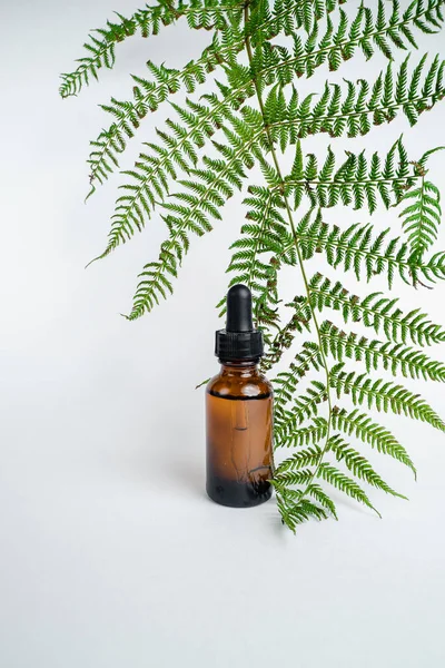 Botella Aceite Esencial Spa Para Aromaterapia Con Prospecto Frascos Esencia —  Fotos de Stock