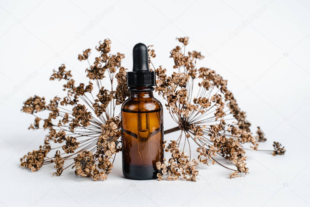 Dark glass bottles stand on wooden cuts, next to  branch. Monochrome photography trend. Isolate on white background. Place for text. Bottle of Spa essential oil for aromatherapy 