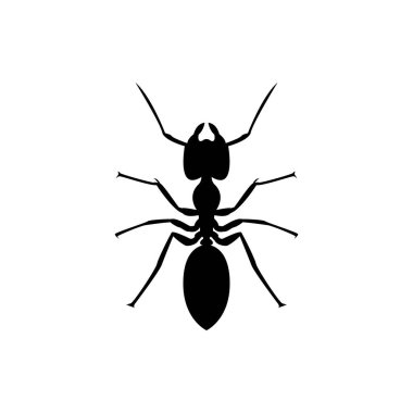 karınca simgesi, vektör böcek logosu