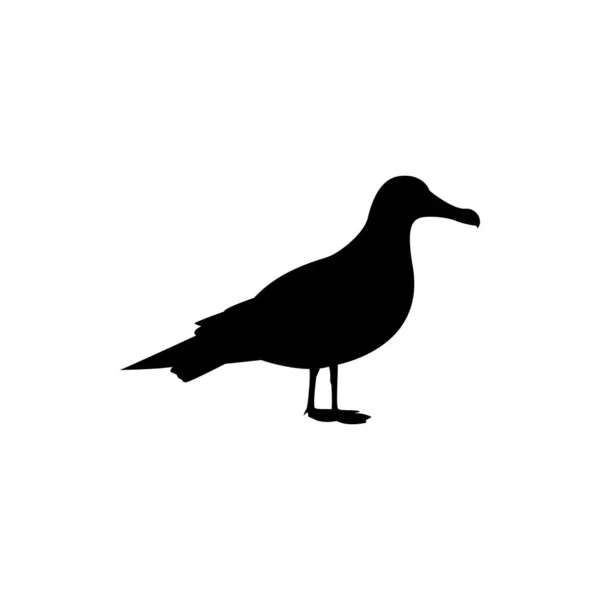 Vektör Martı Silueti Albatros Kuş Logosu — Stok Vektör