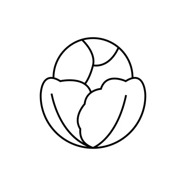 Línea Repollo Icono Vector Logotipo Alimentos — Vector de stock