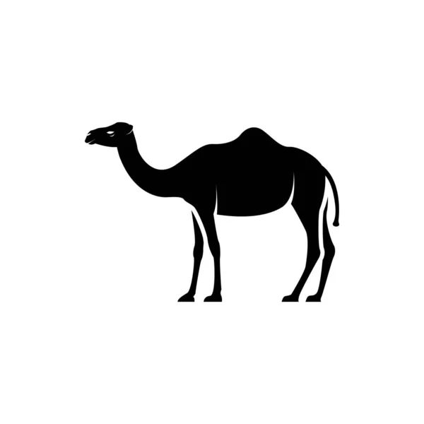 矢量骆驼轮廓侧面的复古标志 标签模板复古设计元素 因白人背景而被隔离 — 图库矢量图片