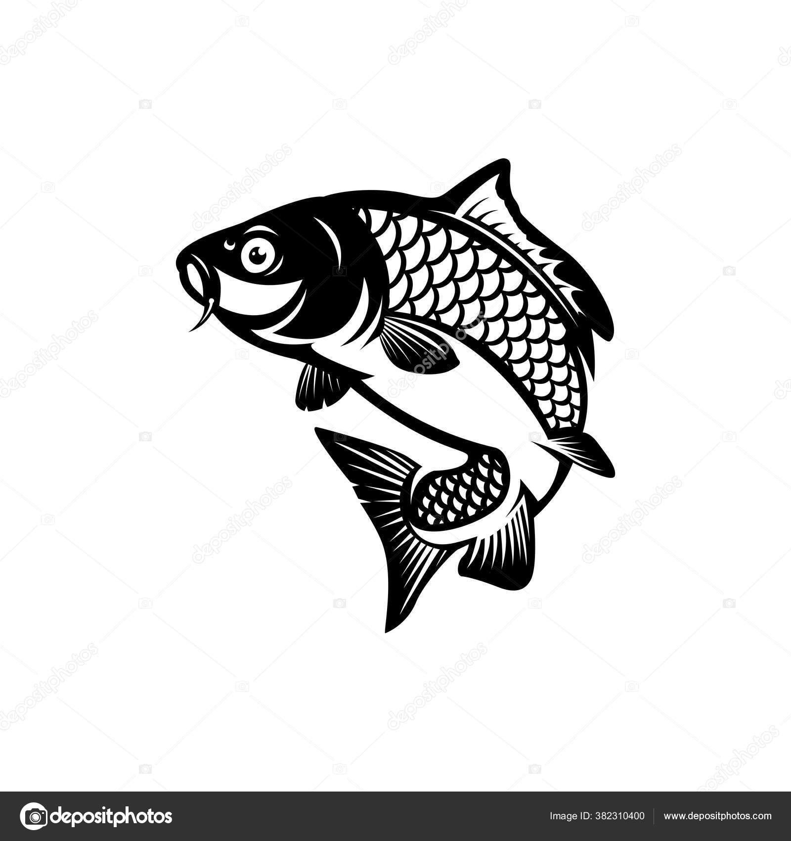 Carp Fishing Fish Logo Stock Vector by ©lukiv007 382310400