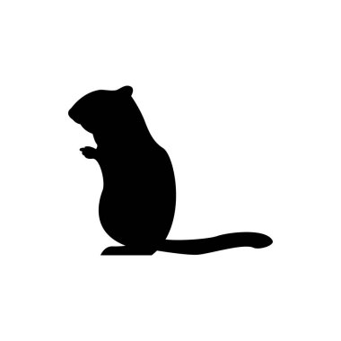 Retro logolar, amblemler, rozetler, etiketler için vektör sincap siluet görünüm tarafı klasik tasarım ögesi. Beyaz arkaplanda izole