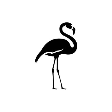 Flamingo silueti beyaz - vektör illüstrasyonunda izole