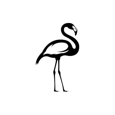 Flamingo silueti beyaz - vektör illüstrasyonunda izole