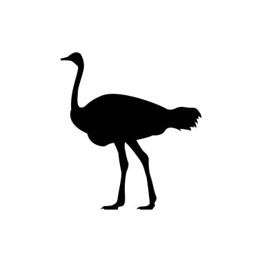 Devekuşu vektör çizimleri. Devekuşu logosu