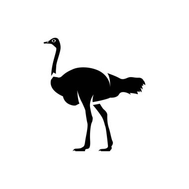 Devekuşu vektör çizimleri. Devekuşu logosu