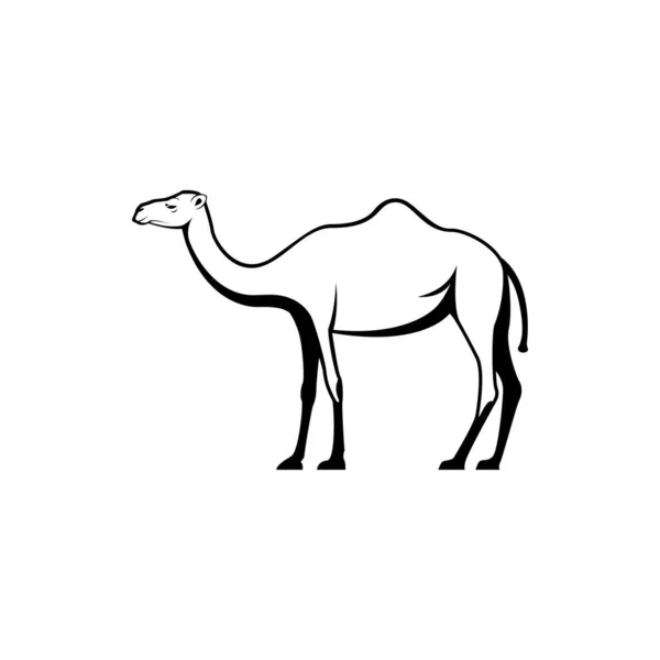 Vector Camel Silhouette Vue Côté Pour Les Logos Rétro Emblèmes — Image vectorielle