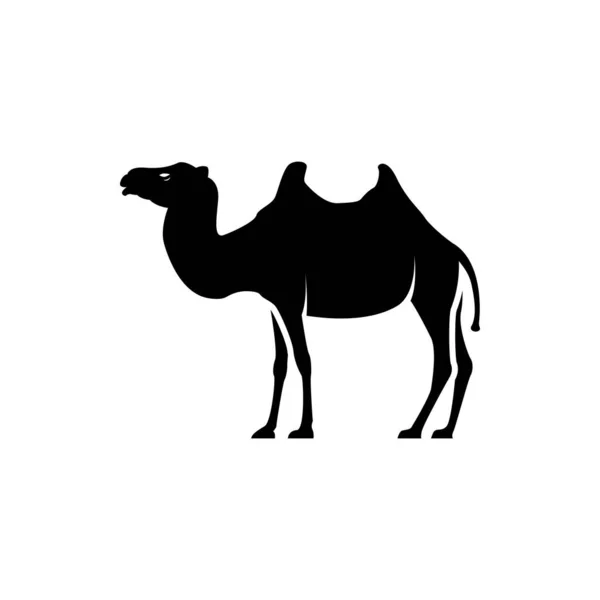 Векторный Верблюжий Силуэт Ретро Логотипов Значков Этикеток Соблазняет Винтажным Дизайном — стоковый вектор