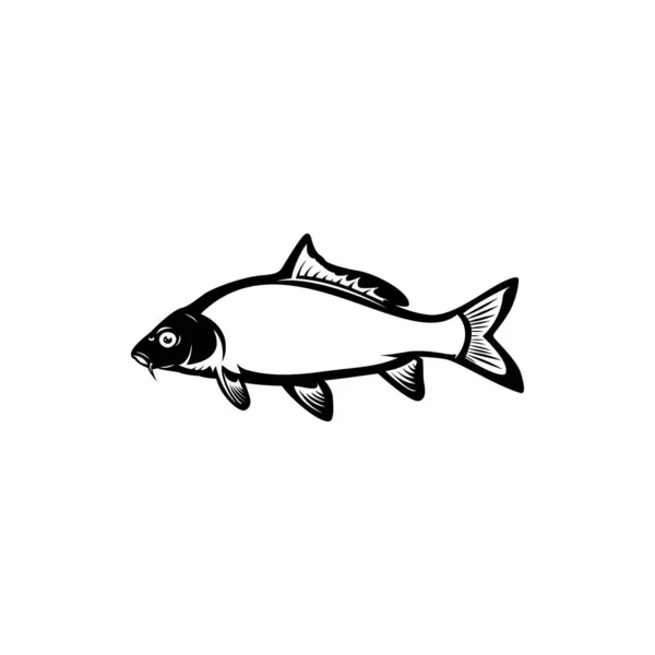 Carp Fishing Fish Logo — Stock Vector