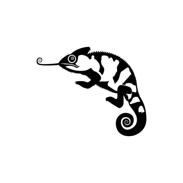 Design Logo Chameleon Animale Lucertola Animale Esotico Modello Logo Chameleon — Vettoriale Stock