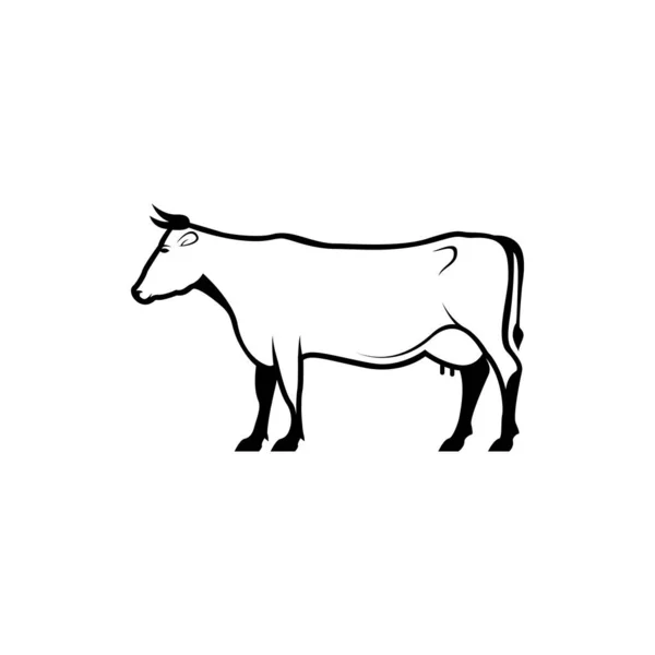 Vektorové Krávy Silueta Pohled Strana Pro Retro Loga Emblémy Odznaky — Stockový vektor