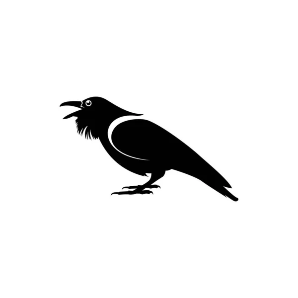 Graficzny Czarno Biały Kruk Białym Tle Ptak Stary Mądry Raven — Wektor stockowy
