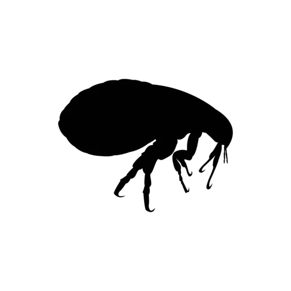 Icono Pulga Insecto Logo — Vector de stock