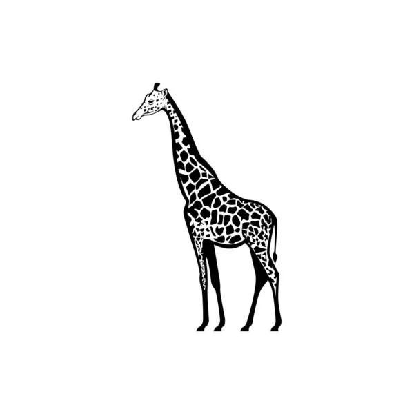 Vecteur Girafe Silhouette Vue Côté Pour Les Logos Rétro Emblèmes — Image vectorielle