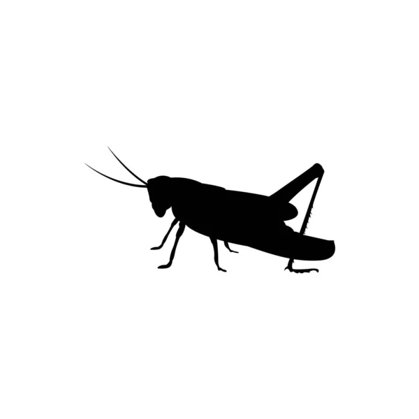 Logo Vector Icono Saltamontes — Vector de stock