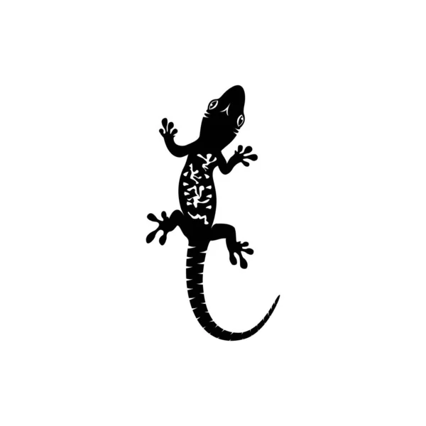 Lagarto Vetor Ícone Logotipo Símbolos Modelo — Vetor de Stock