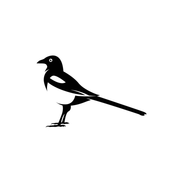 Elster Vogel Logo Vektor Symbol Illustration — Stockvektor