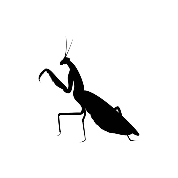 Peygamberdevesi Silueti Böcek Logosu — Stok Vektör