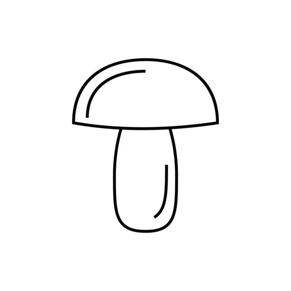 Mushroom Hand Drawn Sketch Vector Illustration Mushroom Shiitake Truffle Chanterelle — Stock vektor