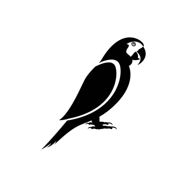 Tropisch Papegaai Silhouet Vectorontwerp Geïsoleerde Elementen Witte Achtergrond Logo Van — Stockvector