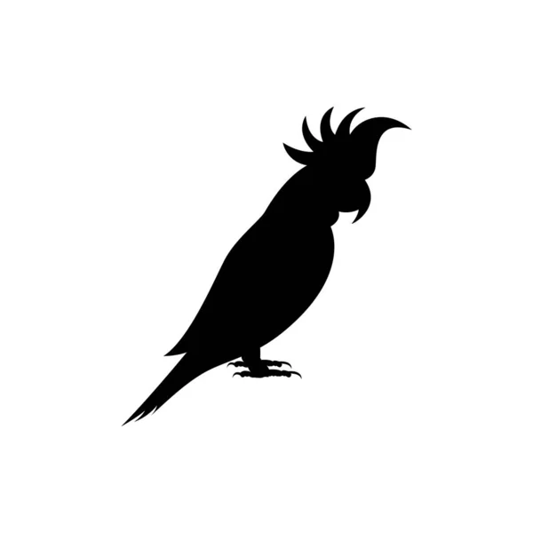 Sílhueta Papagaio Tropical Projeto Vetorial Elementos Isolados Fundo Branco Logotipo —  Vetores de Stock