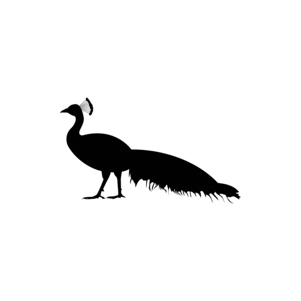 孔雀のシルエットを隔離 幻の鳥が孤立 あなたのデザインのための装飾鳥 — ストックベクタ