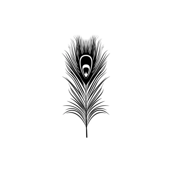 Peacockovo Peří Izolované Fantazie Ptáků Izolovaných Ozdobný Pták Pro Váš — Stockový vektor