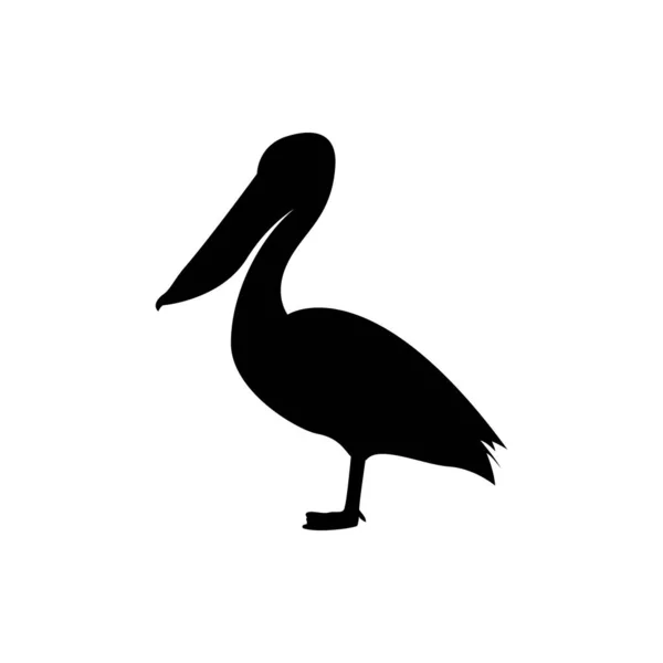 Pelican Logo Icon Designs — Stock Vector