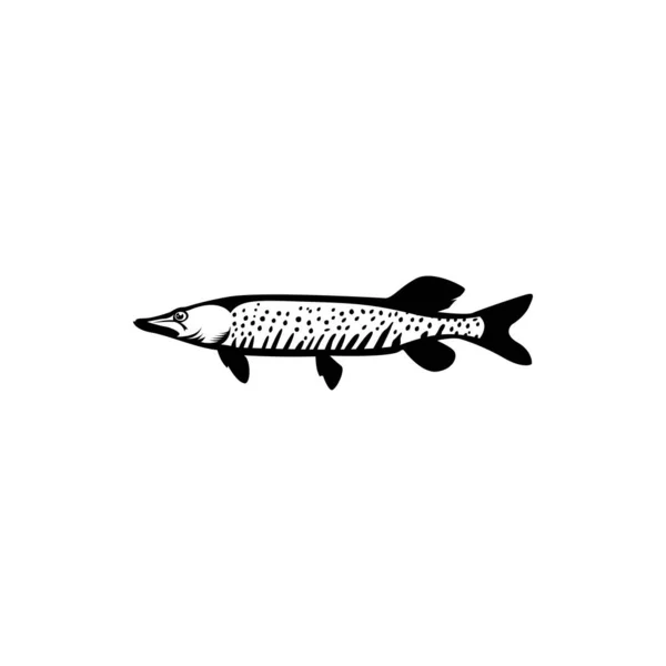 Pike Fish Icon Fishing Logo — Stock Vector