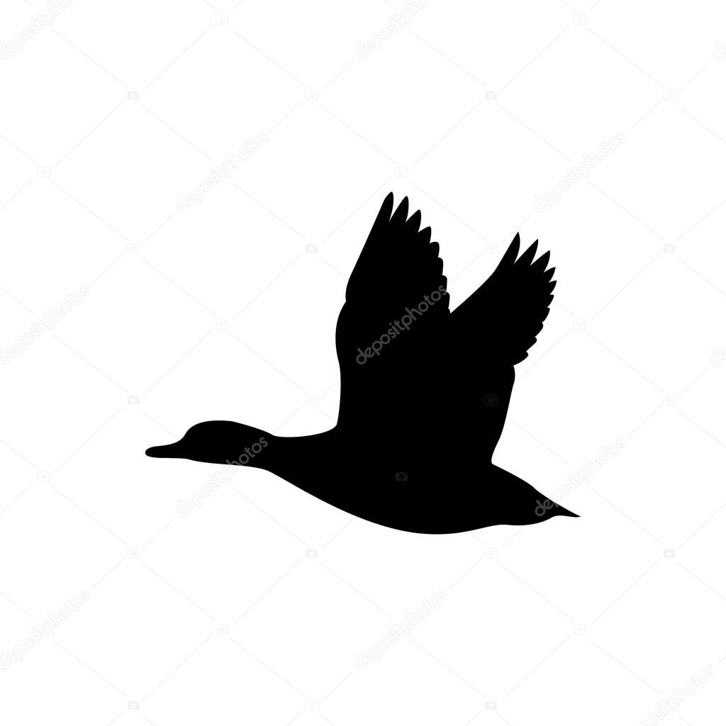 Duck Silhouette vector illustration, farm logo
