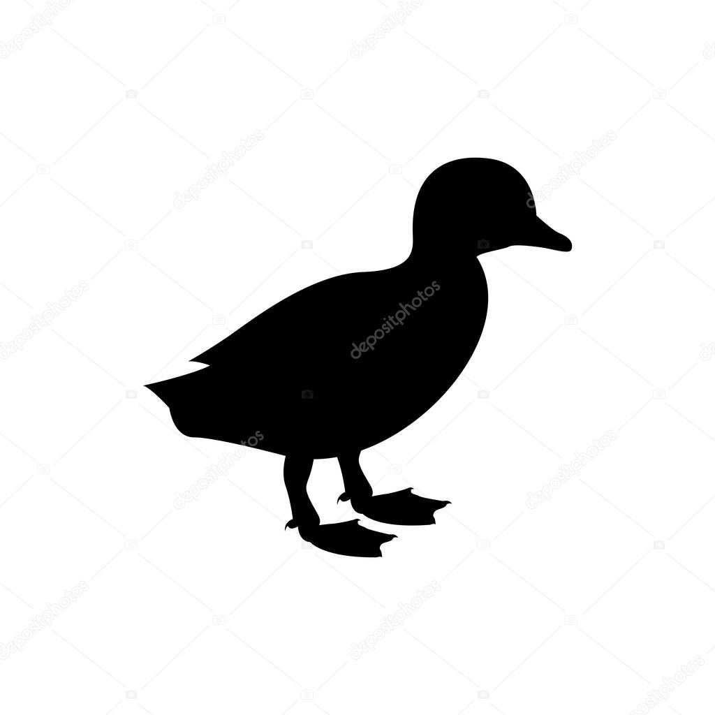 Duck Silhouette vector illustration, farm logo