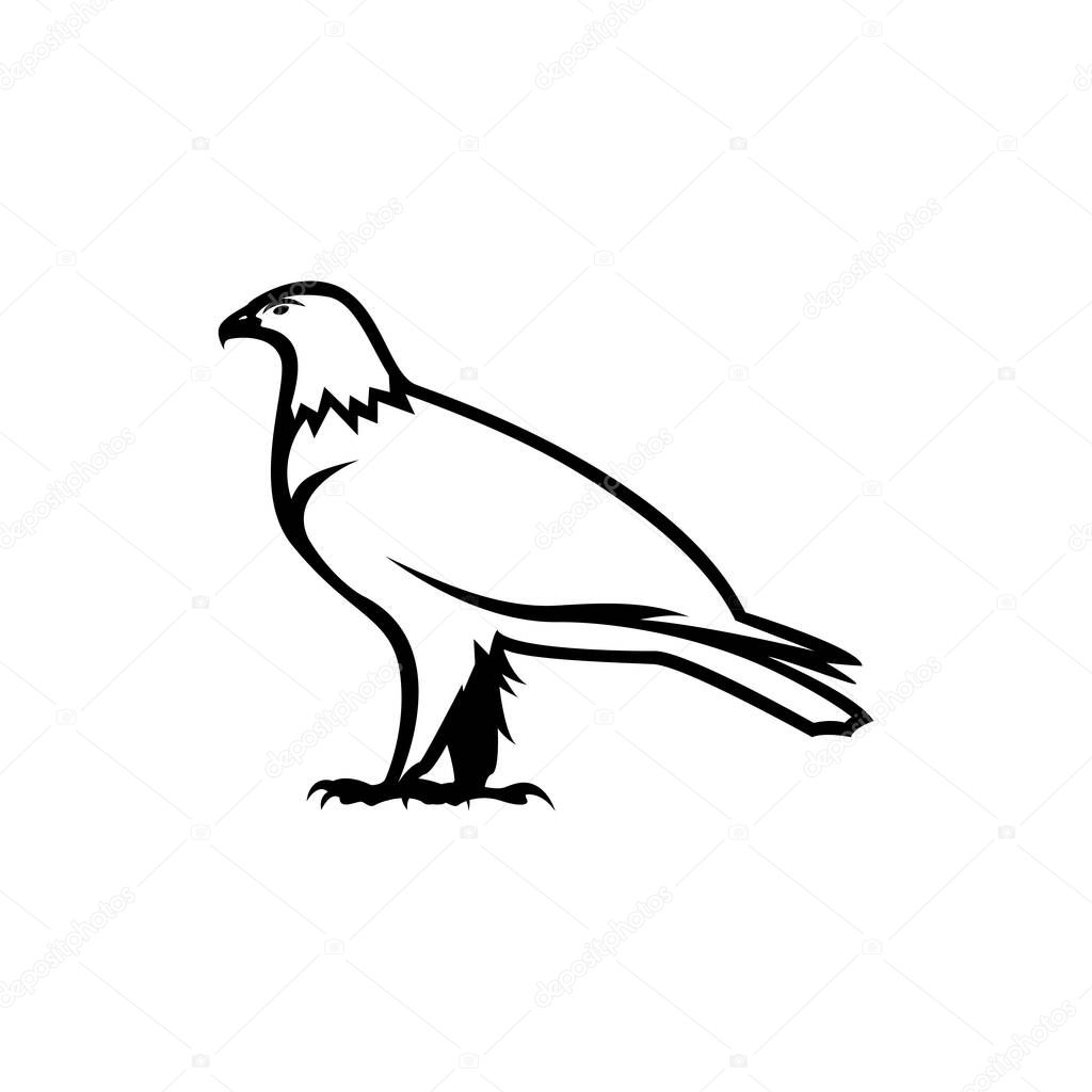 Eagle icon illustration isolated vector sign symbol
