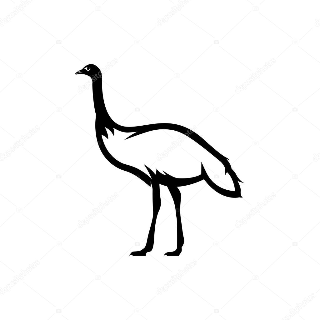 emu bird vector illustrations