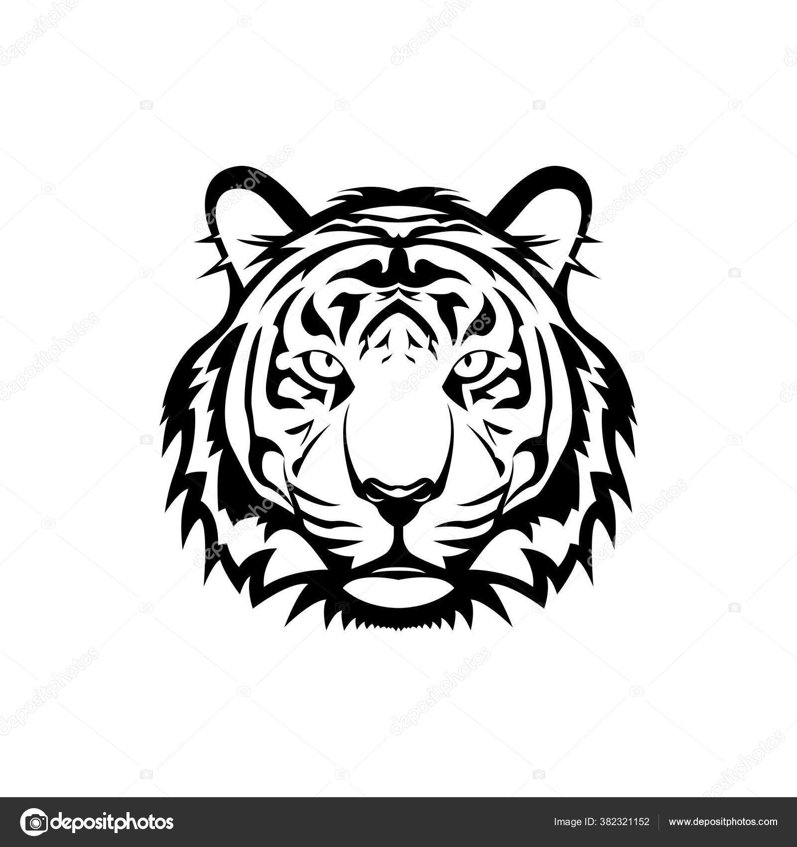 Drawing Bengal Tiger locking or big cat, Stock vector