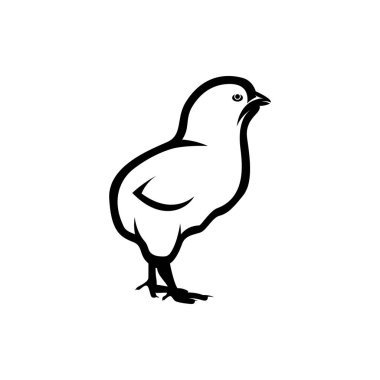 Tavuk çiftliği taze yumurtaları. Vektör tasarım elemanları. Küçük tavuk, beyaz arka planda izole edilmiş..