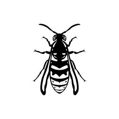 Böcek arısı, siyah eşekarısı silueti. İğneleyici bir böcek, bir böcek. Düz dizayn. Vektör