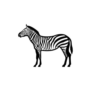 Retro logolar, amblemler, rozetler, etiketler için vektör zebra siluet görünümü klasik tasarım ögesi. Beyaz arkaplanda izole