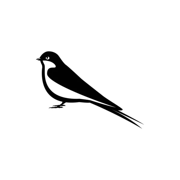 Schwalbe Vogel Logo Vereinzelte Schwalbe Auf Weißem Hintergrund — Stockvektor