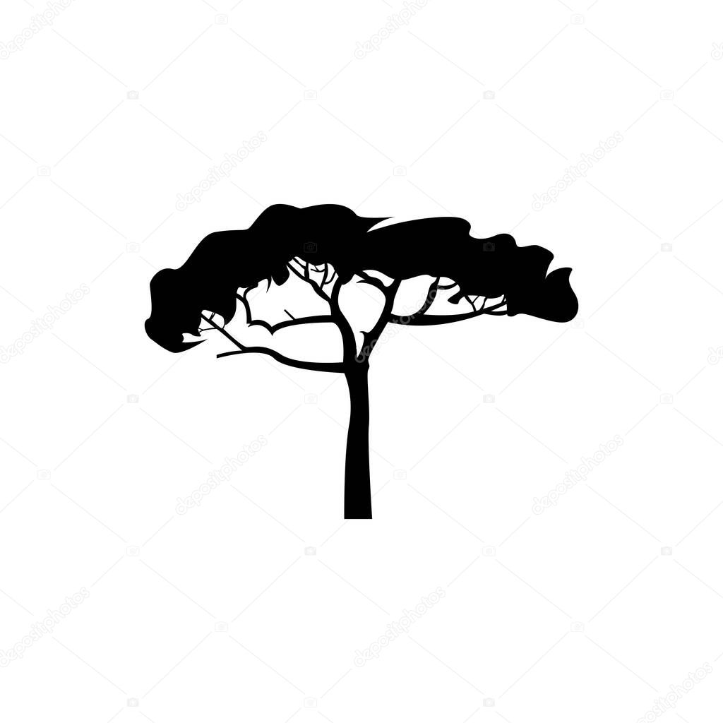 Baobab Tree Illustration Vintage Logo Vector