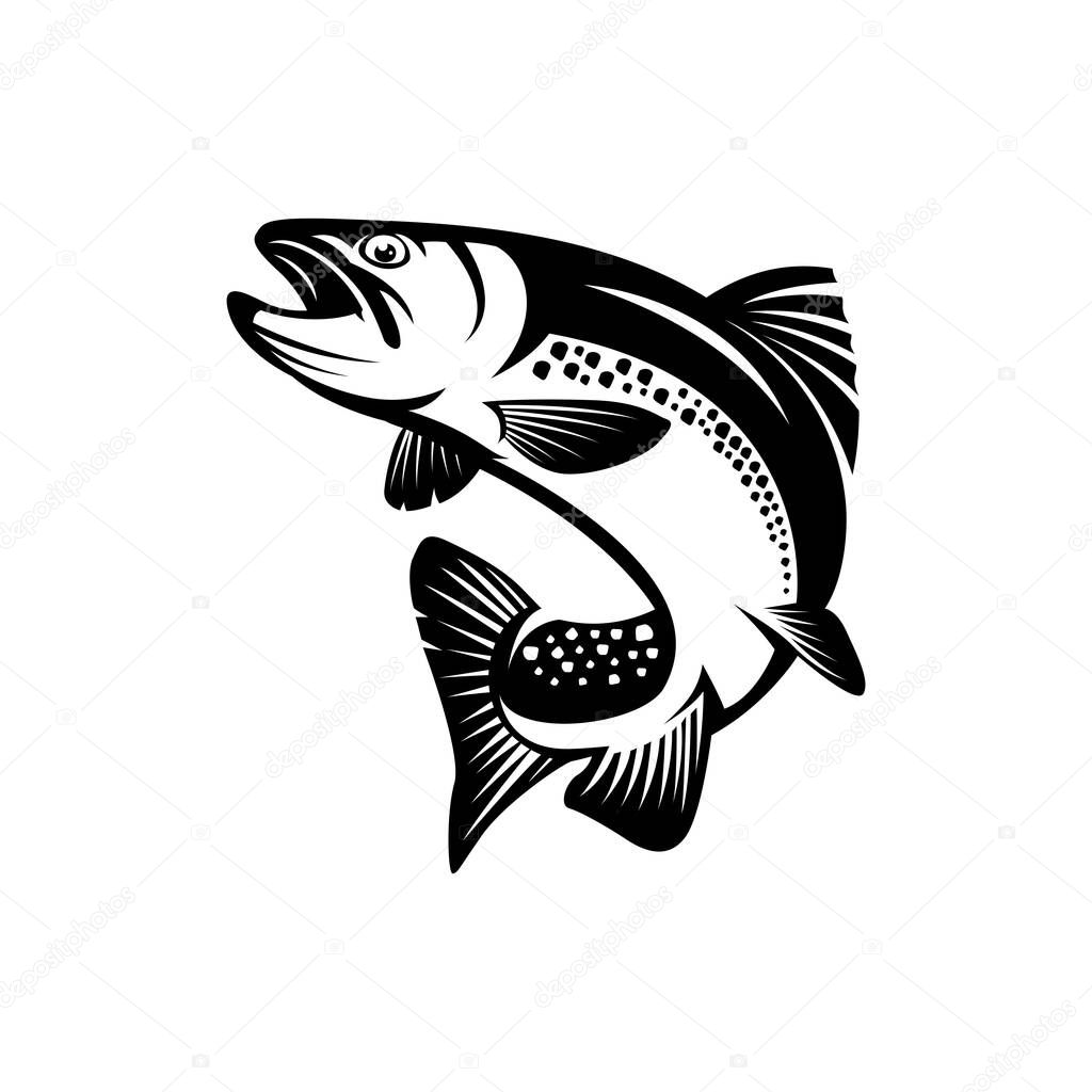 trout fish vector silhouette, fishing logo