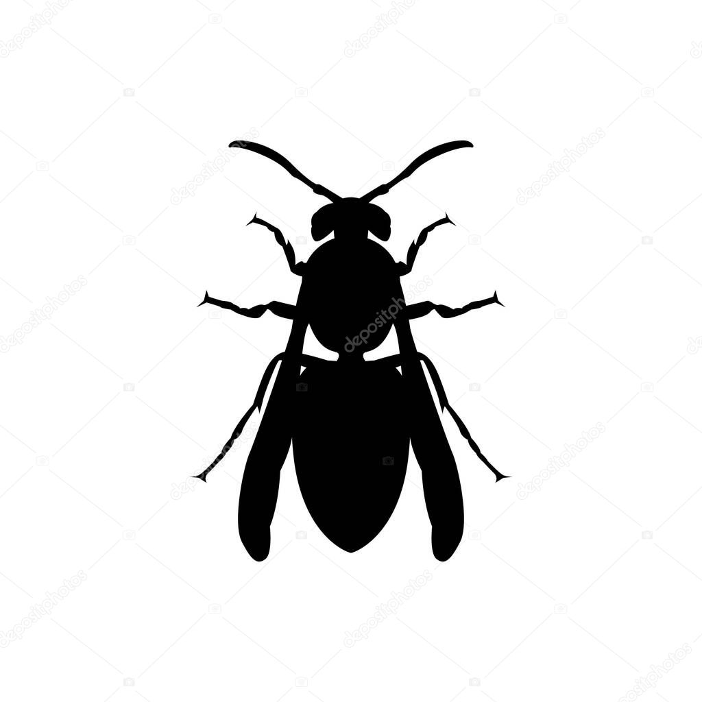 Insect wasp, black wasp silhouette. A stinging insect, an insect pest. Flat design. Vector