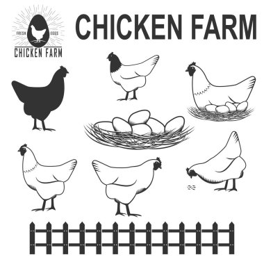 Tavuk silueti hazır.