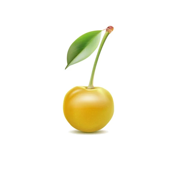 Cherry Sweet Fruit Vector Icon Realistic Illustration — Stock Vector