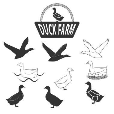 Ördek vektör silueti. Ördek çiftliği logo şablonu